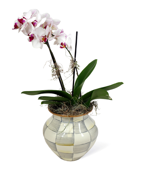Mackenzie Childs Orchid Uniontown gifts