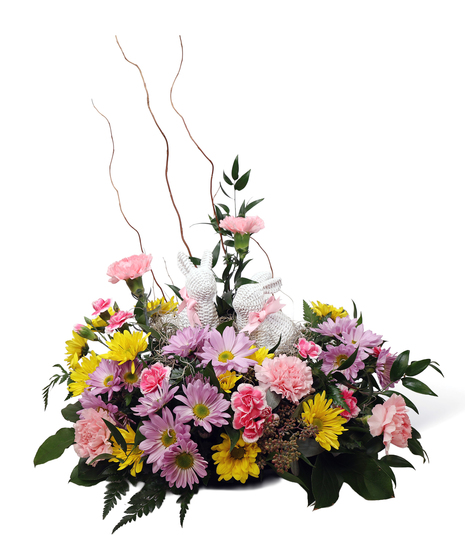 Bunnies in the Field