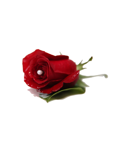 Red and White Accent Hand Tied Bouquet Uniontown, PA