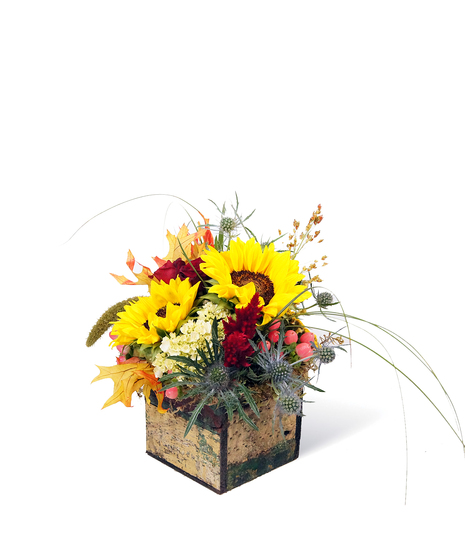Fall mix in a colorful wooden box.