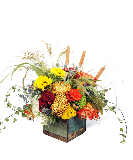 Fall mix in a colorful wooden box.