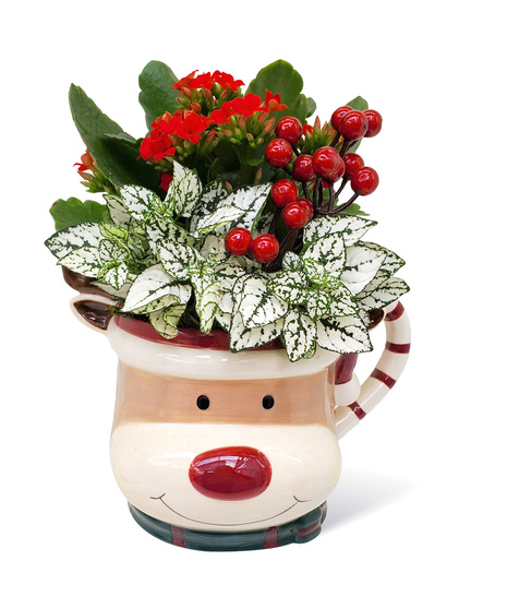 Holiday Mug Uniontown, PA