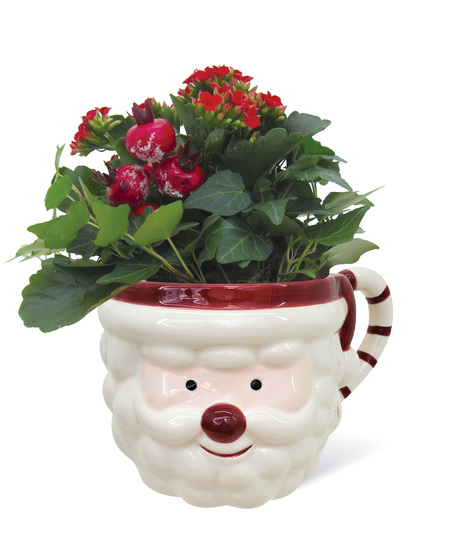 Holiday Mug Uniontown, PA