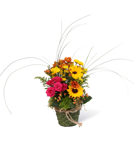 Sunflowers, spray roses and fall colored pomps are just a few flowers that complete this stunning basket!  Pick your color!