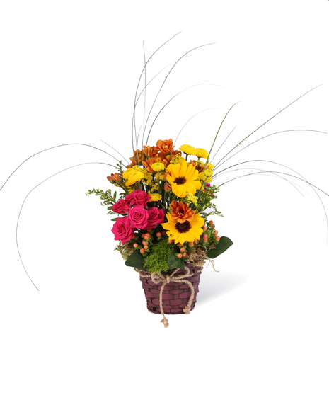 Sunflowers, spray roses and fall colored pomps are just a few flowers that complete this stunning basket!  Pick your color!
