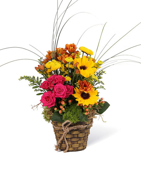 Sunflowers, spray roses and fall colored pomps are just a few flowers that complete this stunning basket!  Pick your color!