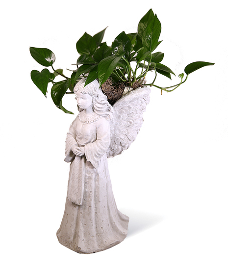 Stone Angel Uniontown, PA