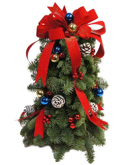 Tabletop Tannenbaum Tree Uniontown (PA) Neubauers Flowers