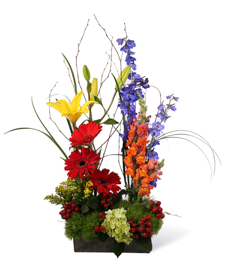 Vertical Garden