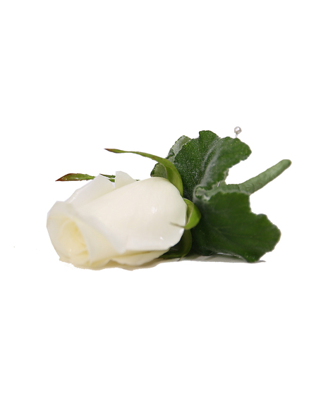 White Rose Hand Tied Bouquet Uniontown, PA