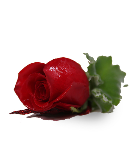 White and Red Accent Hand Tied Bouquet Uniontown, PA