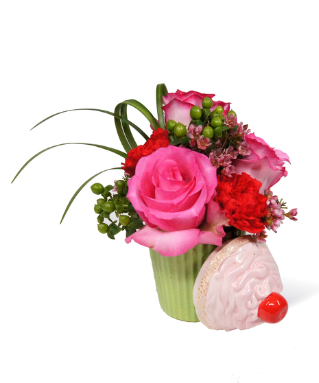 Your My Cupcake Uniontown, PA