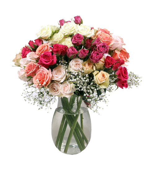 Mother's Roses