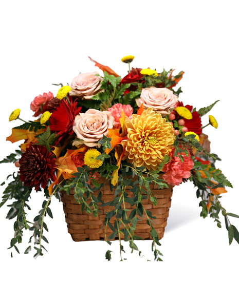 Brrrred Basket