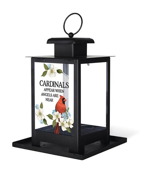 Cardinals Bird Feeder Uniontown PA