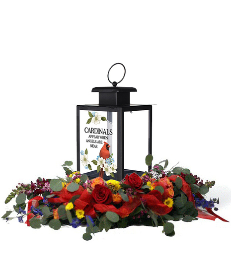 Cardinals Bird Feeder