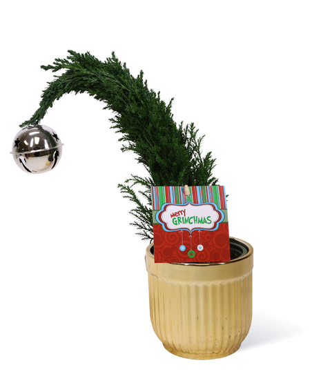 Grinchmas Uniontown PA 